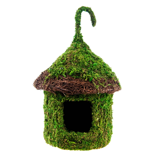 Decorative Moss Bird House with Wicker Brim — Green