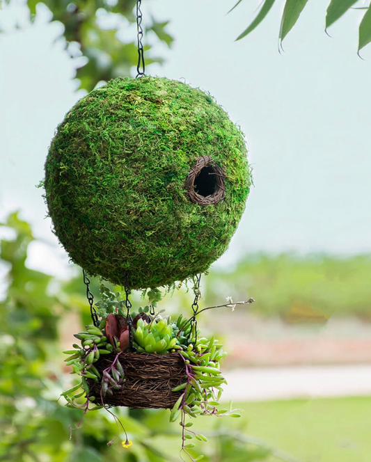 Spherical Moss Bird House with Hanging Planter Basket — Green