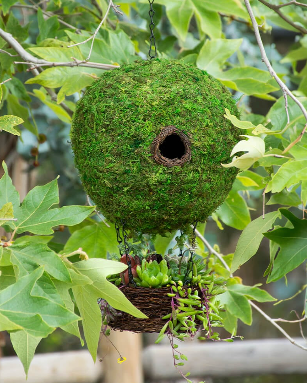 Spherical Moss Bird House with Hanging Planter Basket — Green