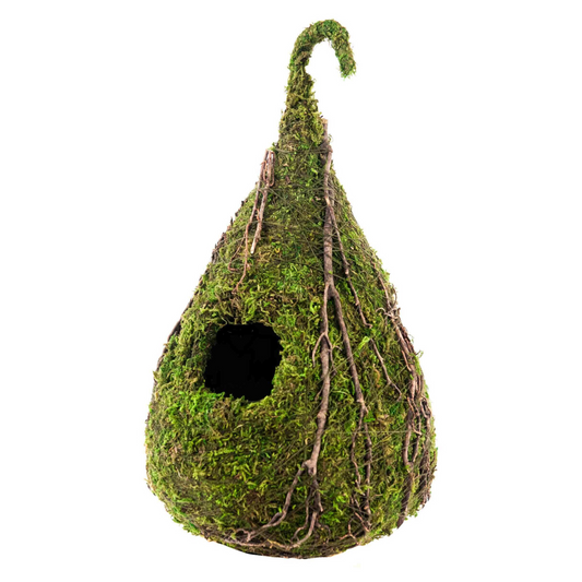 Indoor Teardrop Moss Bird House with Vine Detail — Green