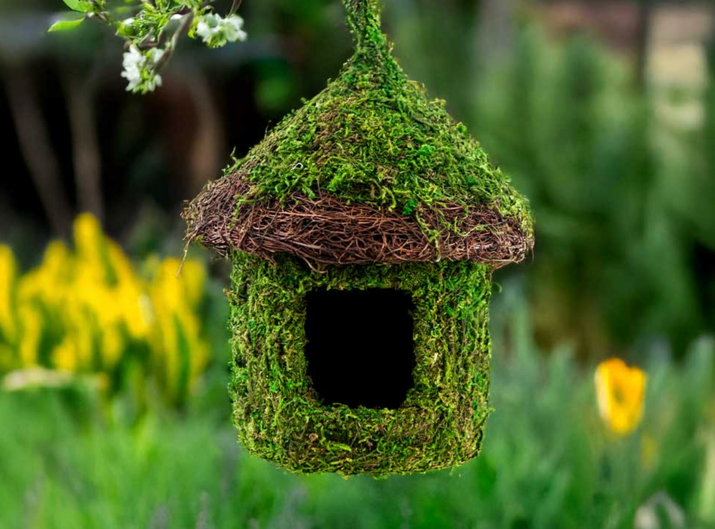 Decorative Moss Bird House with Wicker Brim — Green
