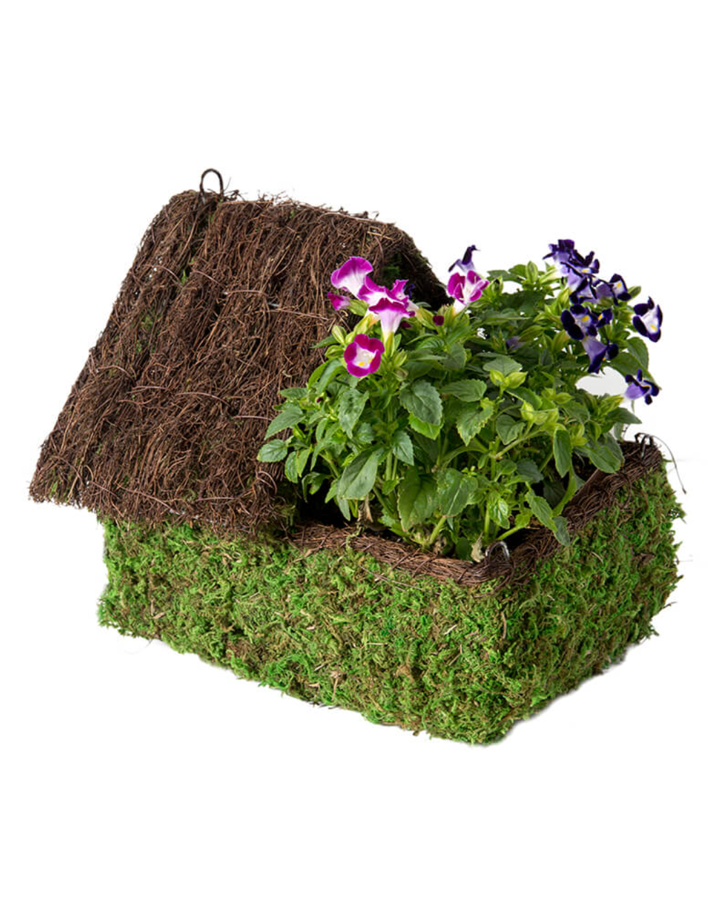 Woven Moss Bird House with Rear Roof Planter — Green