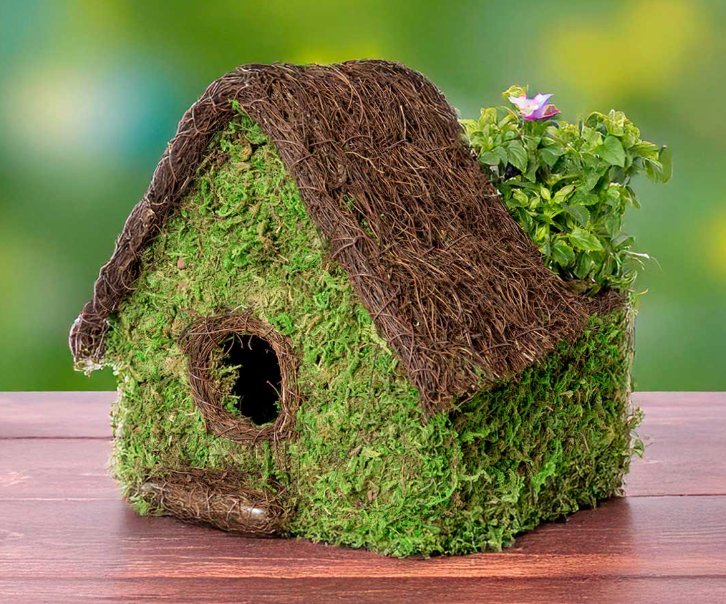 Woven Moss Bird House with Rear Roof Planter — Green