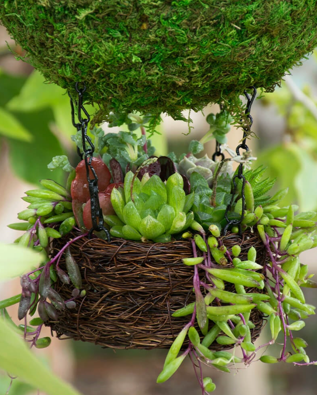 Spherical Moss Bird House with Hanging Planter Basket — Green