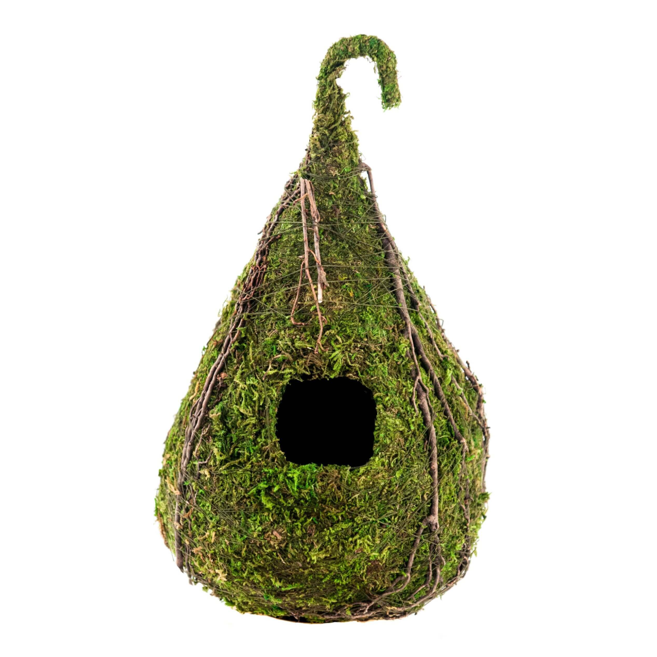 Indoor Teardrop Moss Bird House with Vine Detail — Green