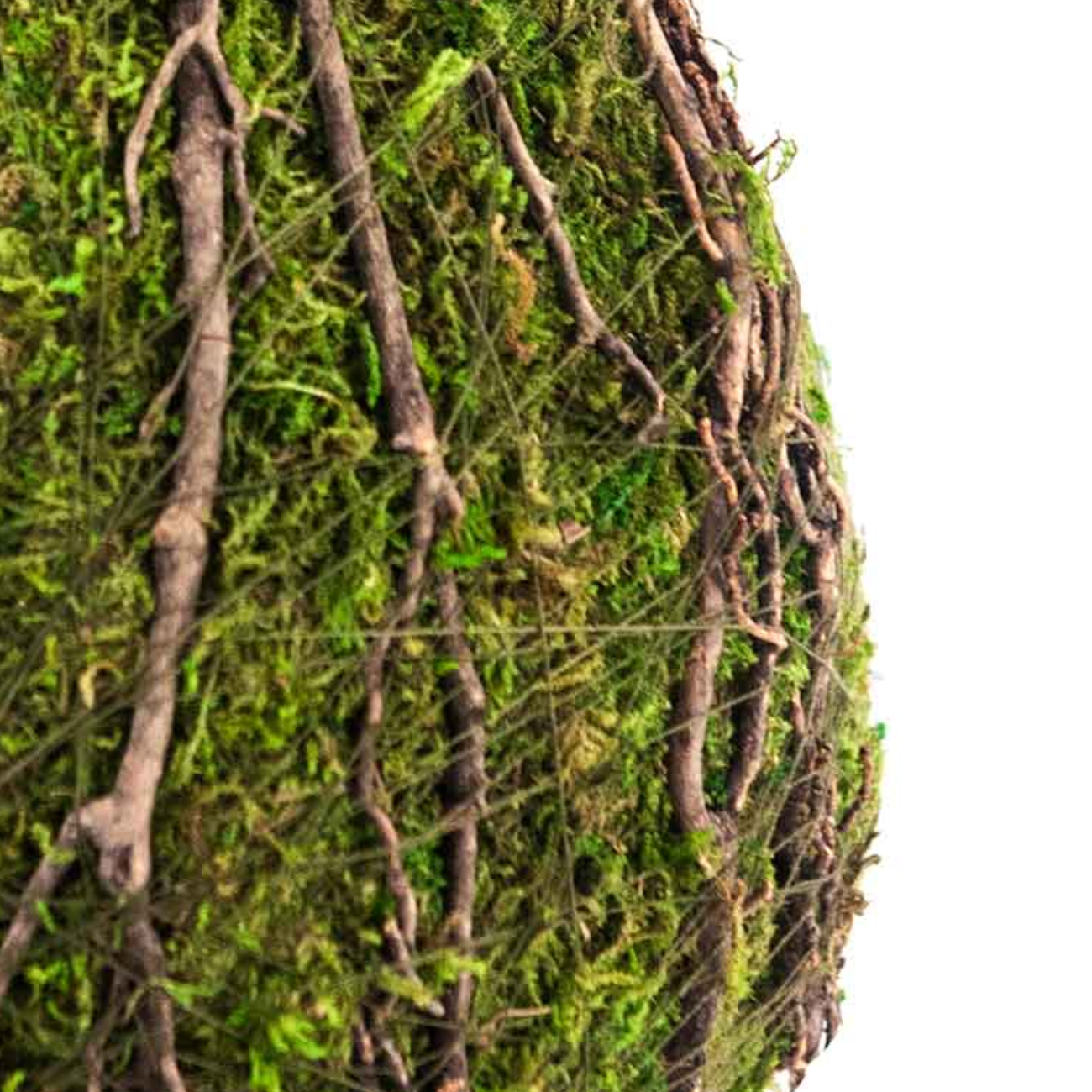 Indoor Teardrop Moss Bird House with Vine Detail — Green
