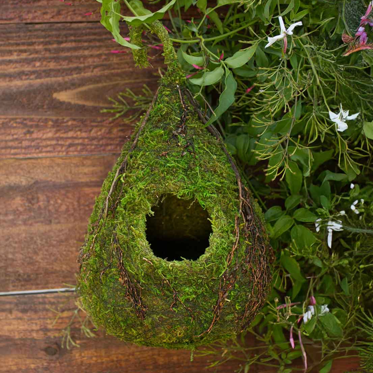 Indoor Teardrop Moss Bird House with Vine Detail — Green